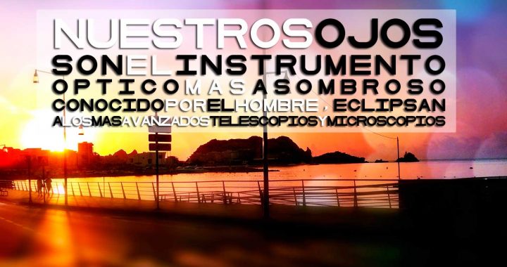 Amanecer águilas | Dr. Antonio Alcázar Cantos